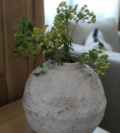 Pirin Golf & Greenside Lägenhet Razlog